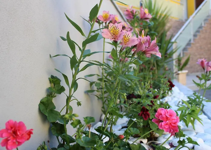 게스트하우스 Por Do Sol 3*